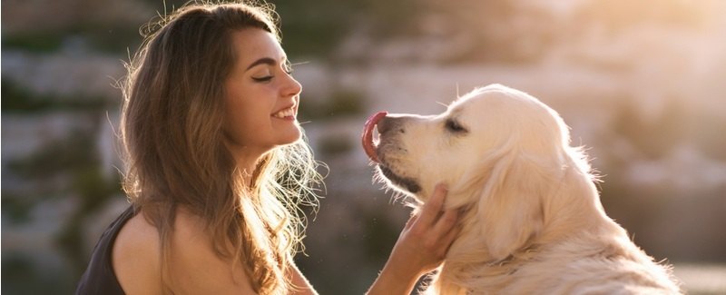 Colleges that Allow Dogs: 16 Pet-Friendly Colleges and Universities