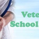 veterinary school rankings