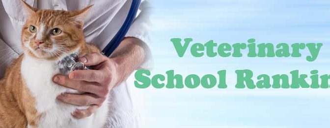 veterinary school rankings