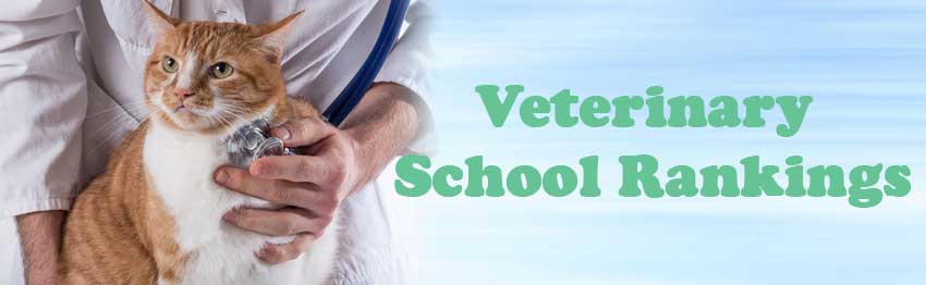 veterinary school rankings